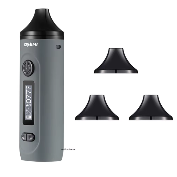 Dry Herb Vaporizer Gemini Herbal Starter Kit Battery Tempreture Control OLED Screen 2200Mah E Cigarettes Vape Pen Kits