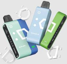 Elfbar EW9000 puffs Starter kit Rechargeable